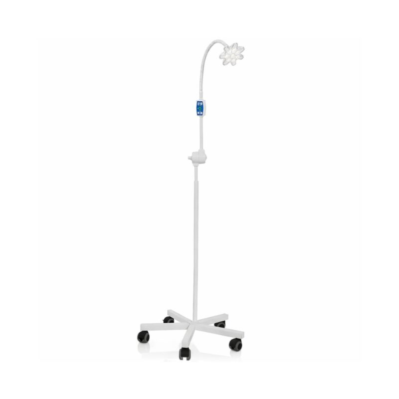 Акционные предложения